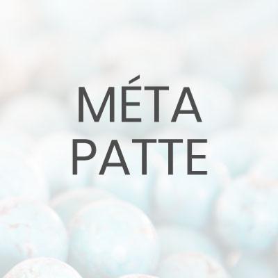 Méta Patte